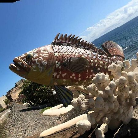 Apartamento "La Casa De La Playa" Con Wifi Y 3 Dormitorios アリナガ エクステリア 写真